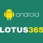 Lotus365 Download APK